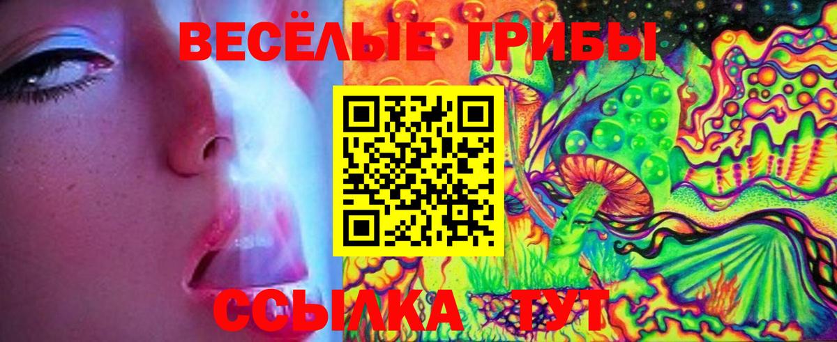 Галлюциногенные грибы Psilocybe  Вход с VPN  Псилоцибиновые грибы ЛСД  Южноуральск 