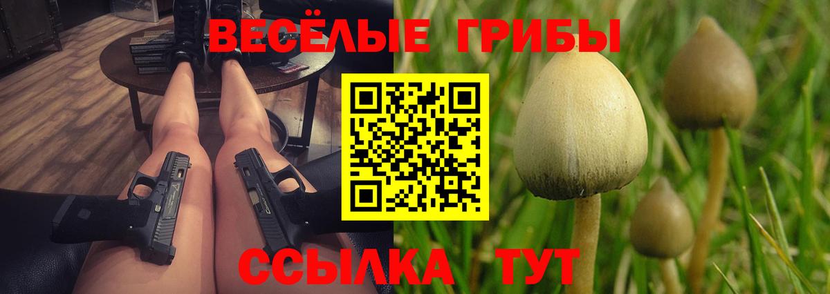 Псилоцибиновые грибы Psilocybine cubensis Южноуральск
