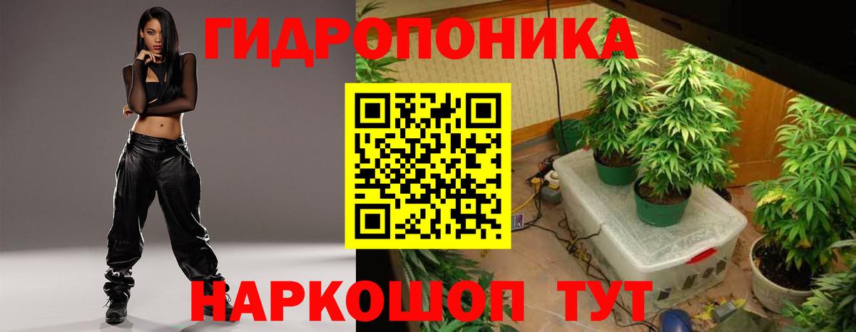 Псилоцибиновые грибы Южноуральск
